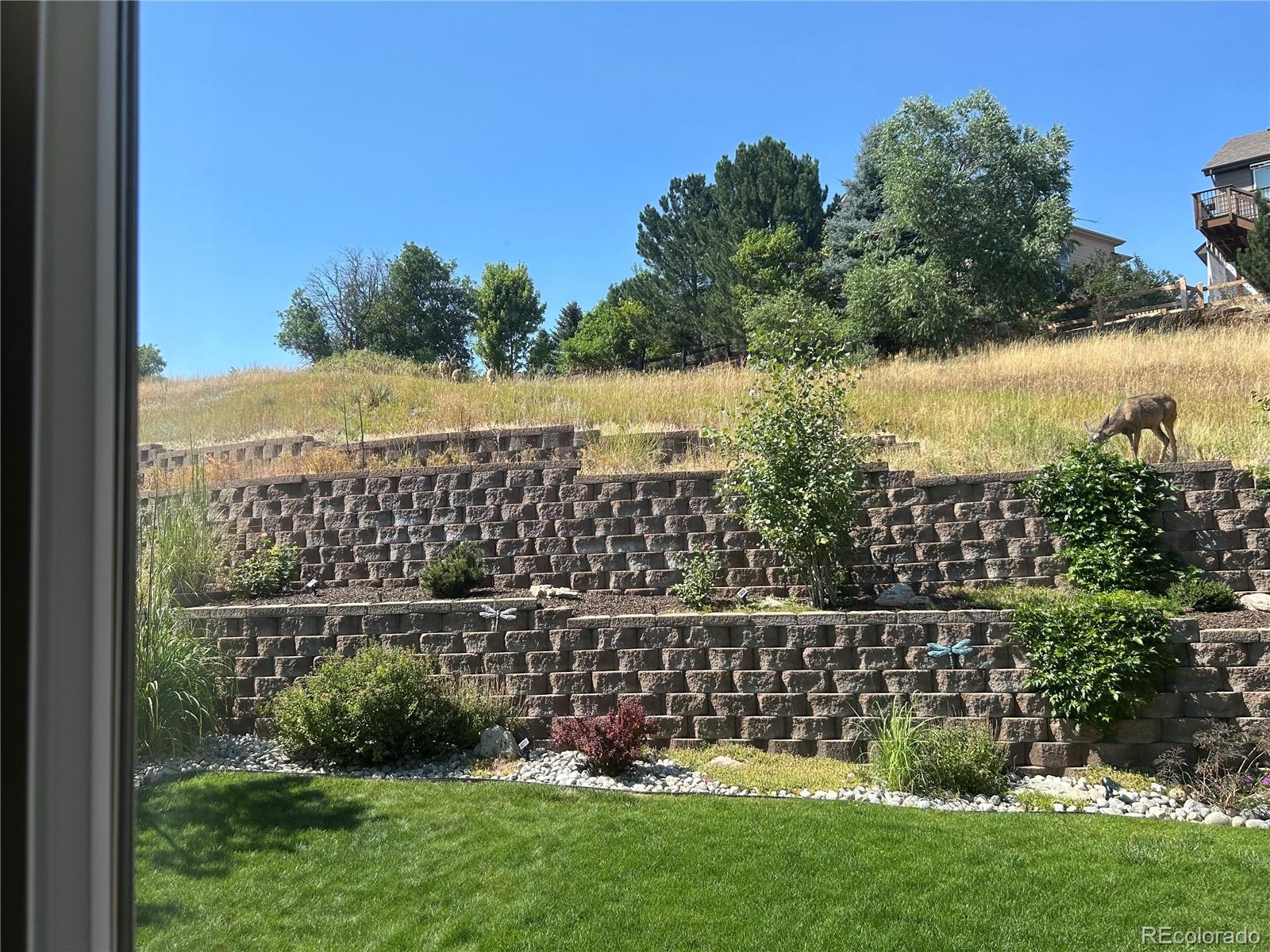 7257 Arco Iris Lane