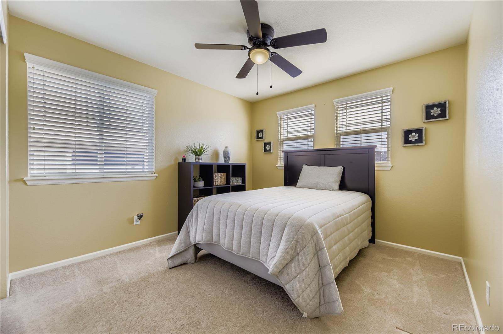 7257 Arco Iris Lane