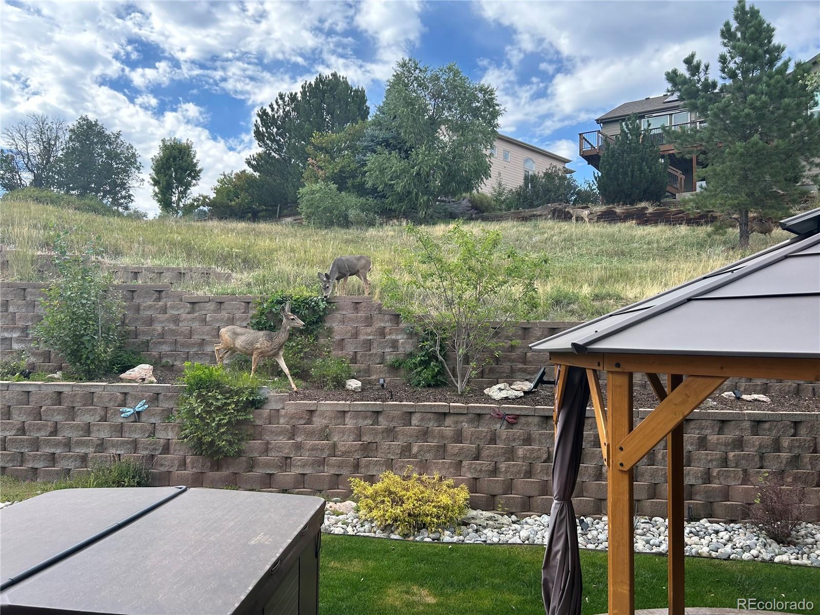 7257 Arco Iris Lane