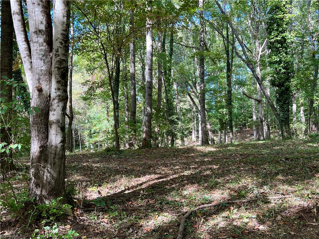 00 Jackson Road Unit: 8.64 Ac