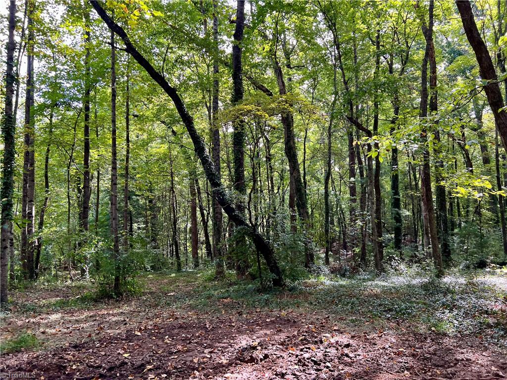 00 Jackson Road Unit: 8.64 Ac