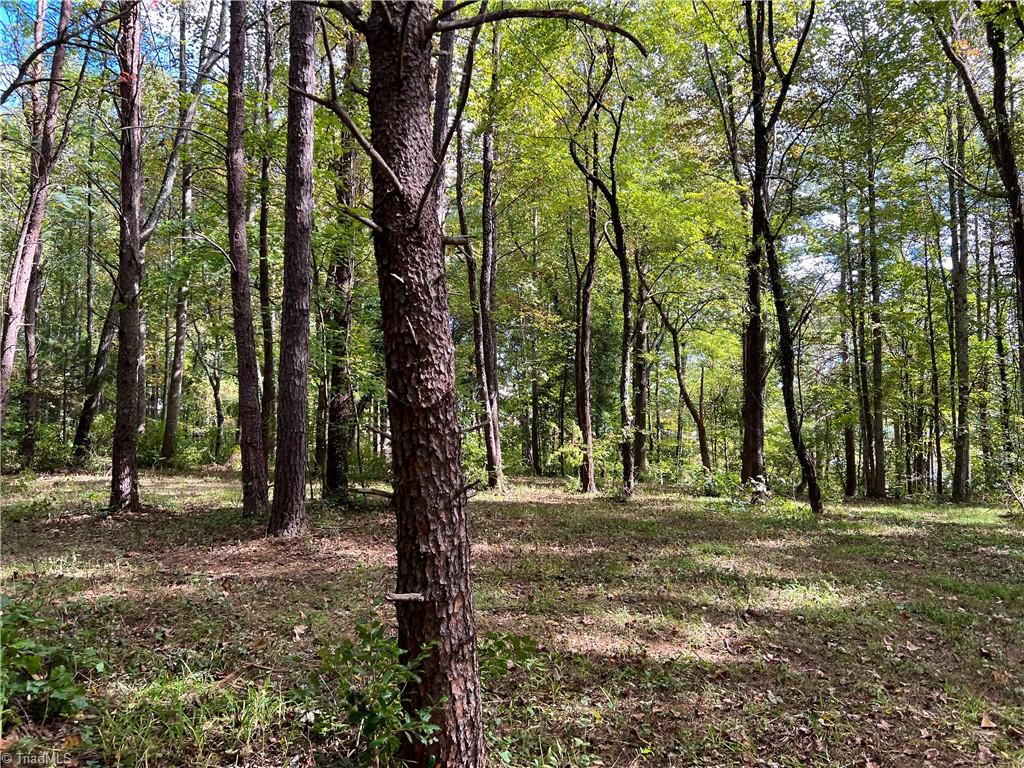 00 Jackson Road Unit: 8.64 Ac