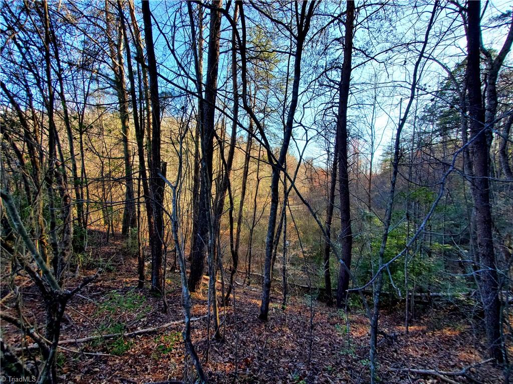 1373 Fisher Valley Road