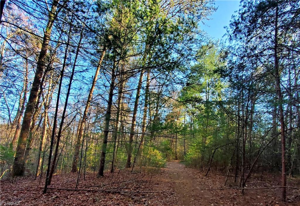1373 Fisher Valley Road