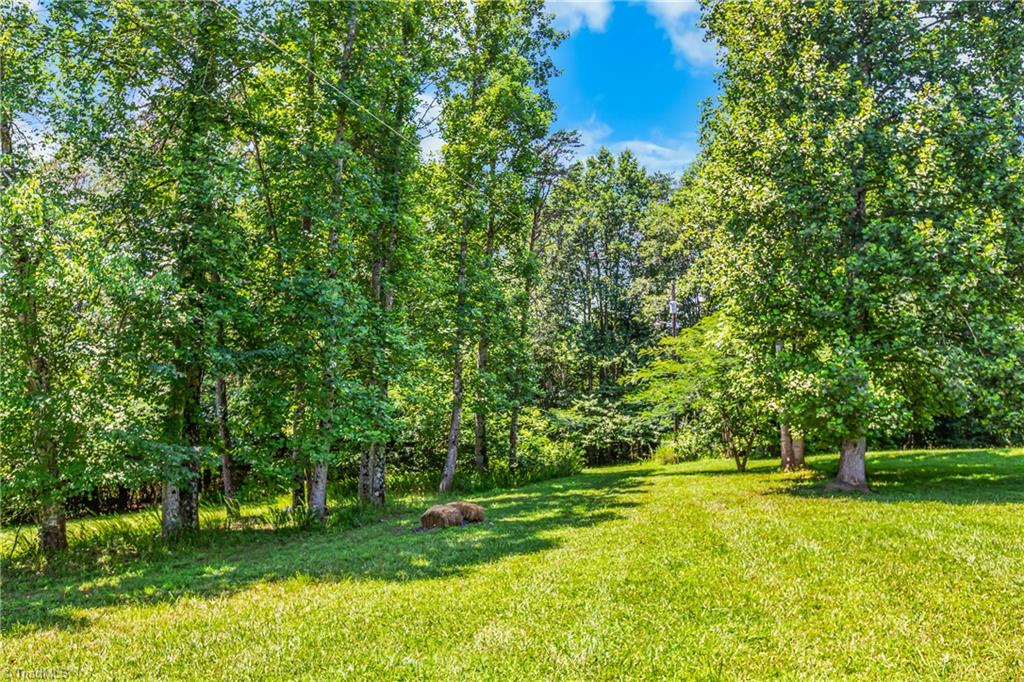 173 Old LowGap Road S