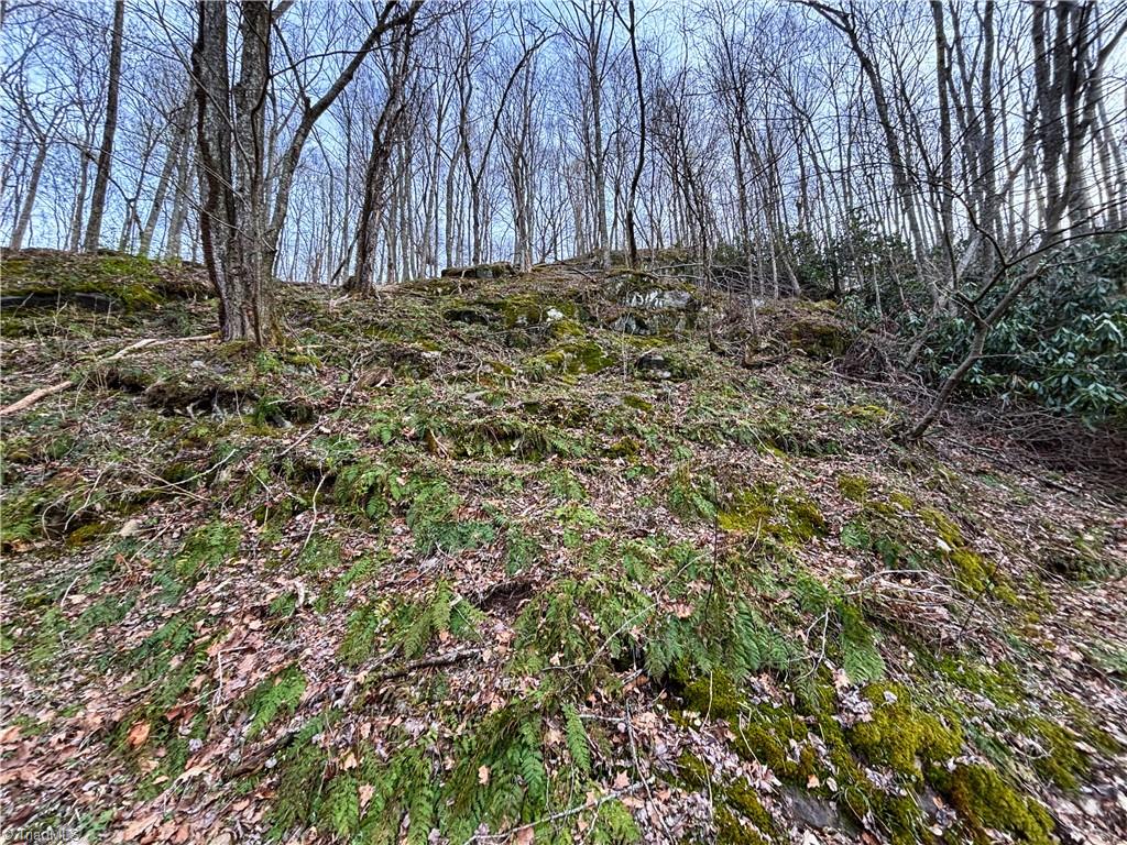 94 Bucks Ridge # 17 Unit: 15-17