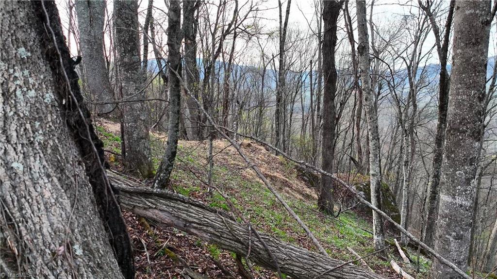 94 Bucks Ridge # 17 Unit: 15-17