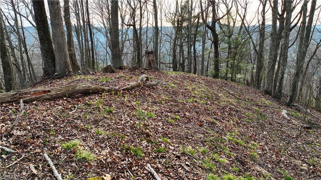 94 Bucks Ridge # 17 Unit: 15-17
