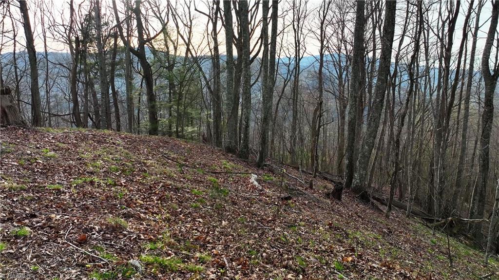 94 Bucks Ridge # 17 Unit: 15-17