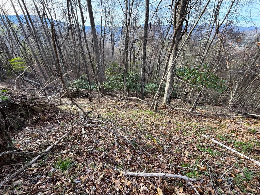 94 Bucks Ridge # 17 Unit: 15-17