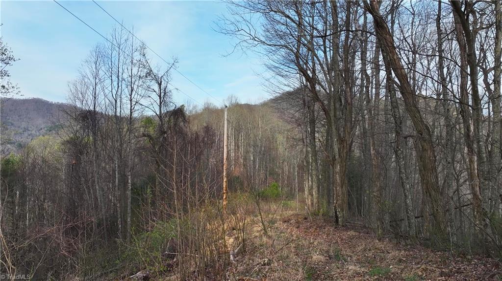 94 Bucks Ridge # 17 Unit: 15-17