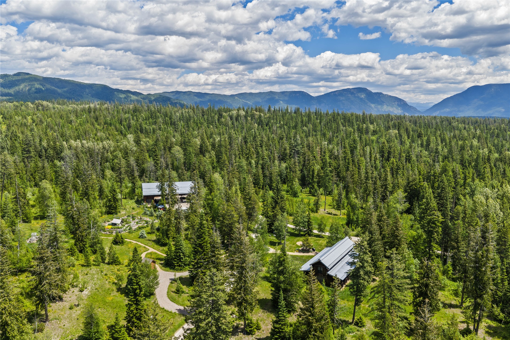 Aerial view of forested property with two buildings, winding driveway, and mountain backdrop.