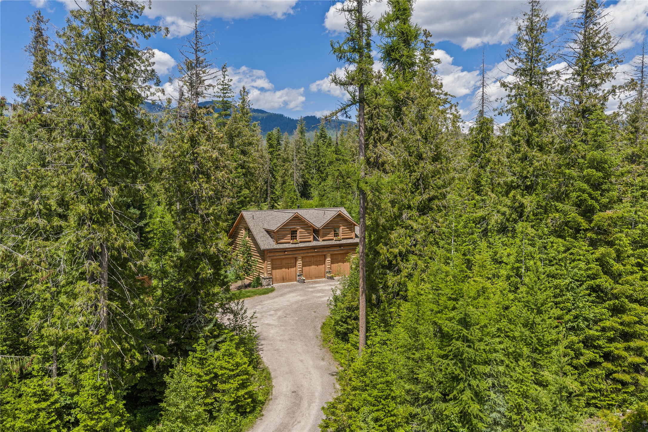 Log home nestled in evergreen forest, viewed above its curved gravel driveway.