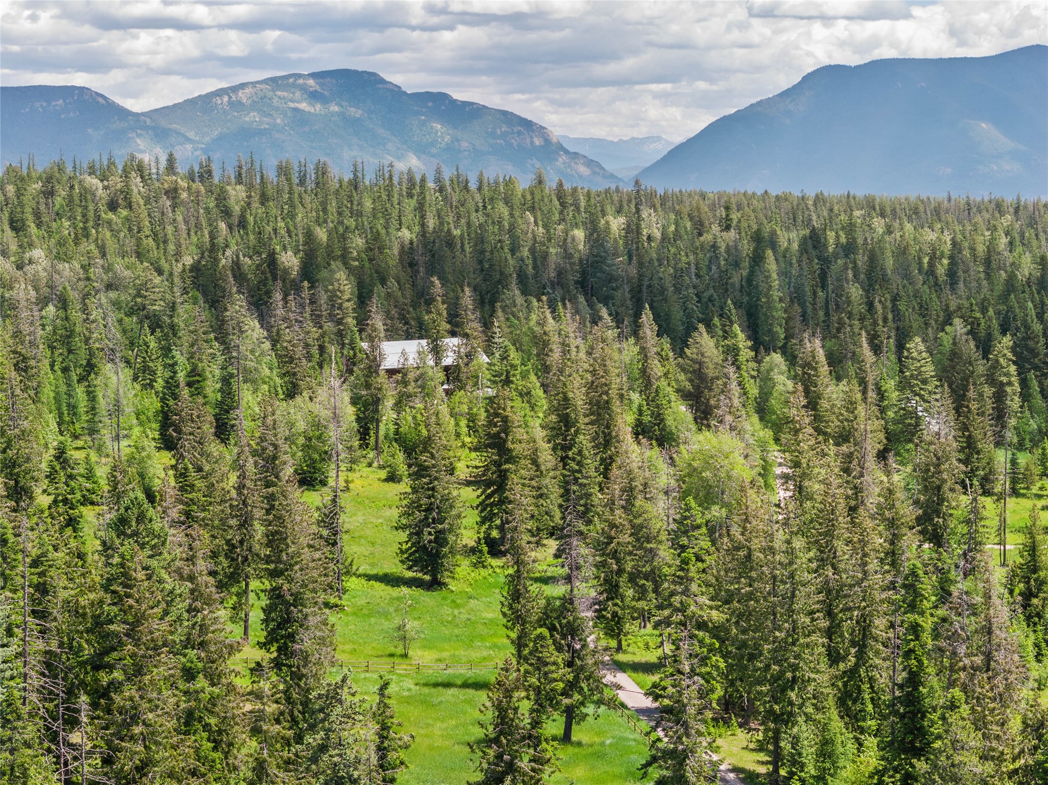 Aerial view of a forested property with a grassy clearing, driveway, and mountains beyond.