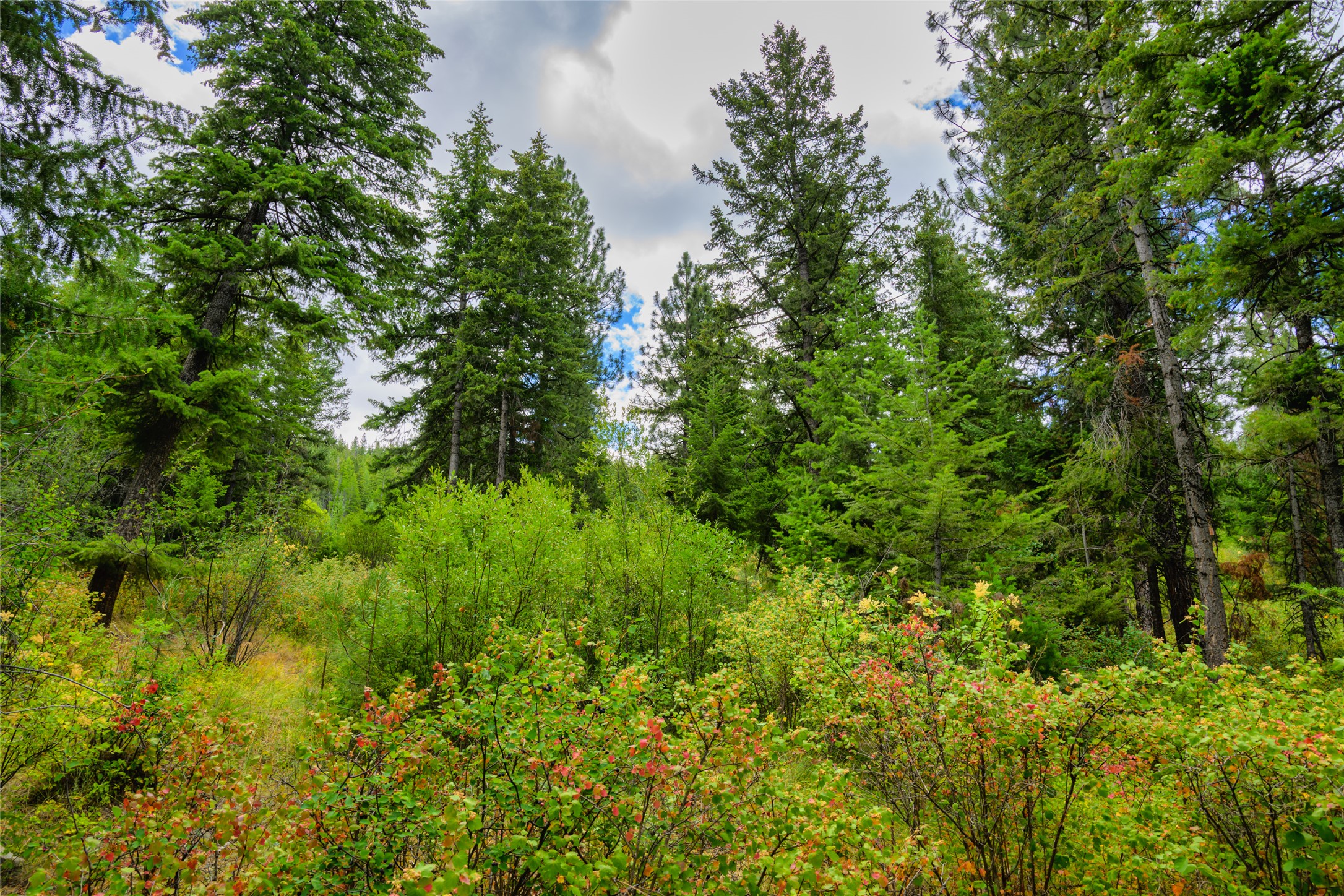 Lot 1 Bighorn Bluff Road
