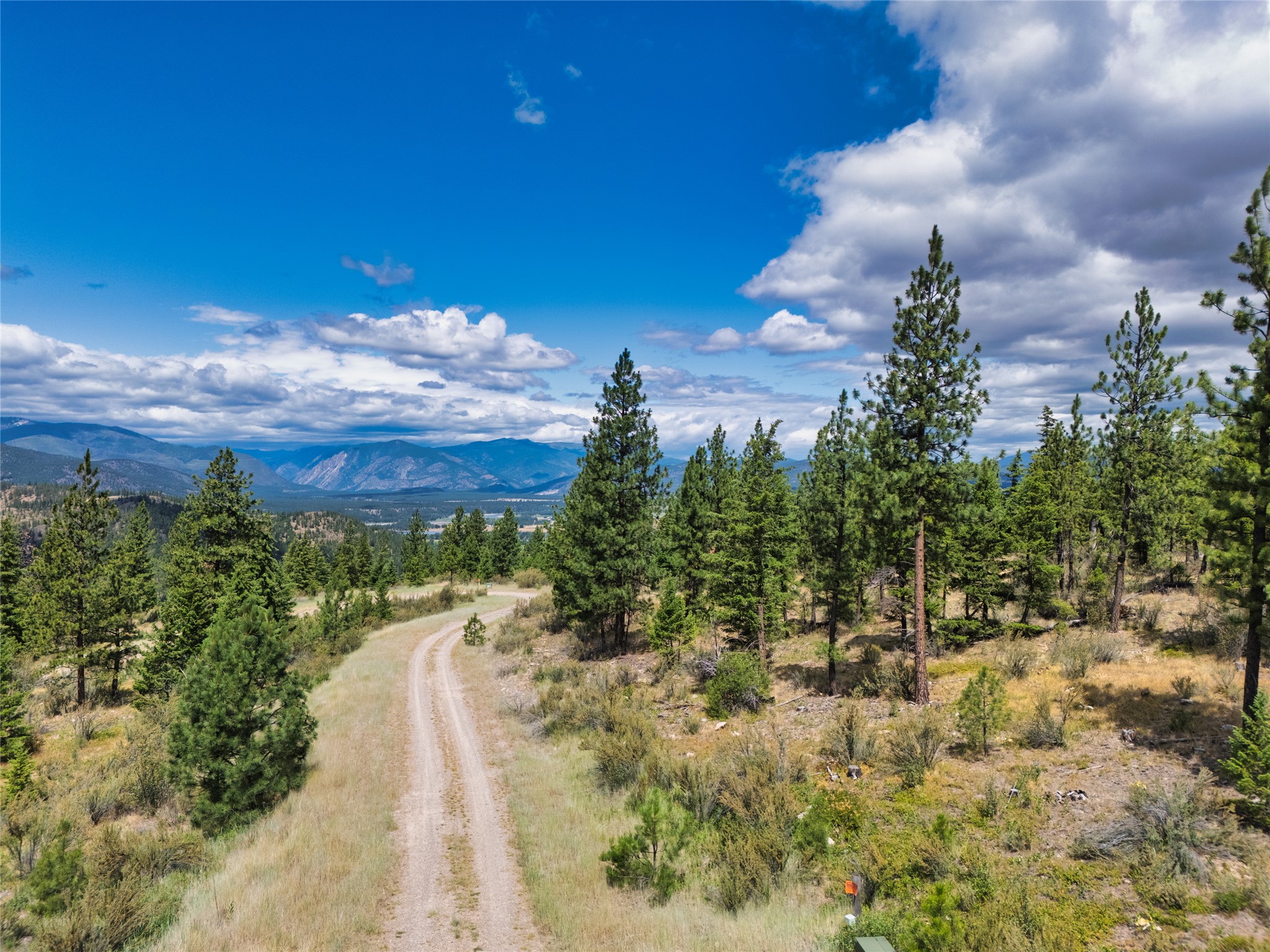 Wooded hillside lot with a winding dirt road and distant mountain views.