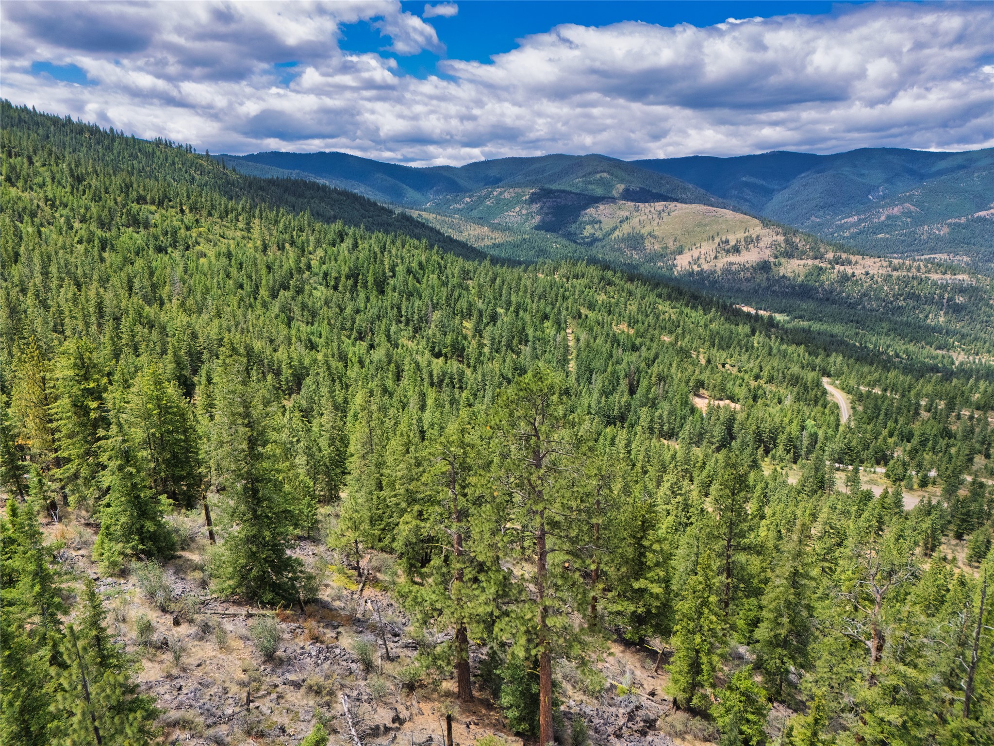 Aerial view over pine-covered mountain land, with a winding road and distant ridges.