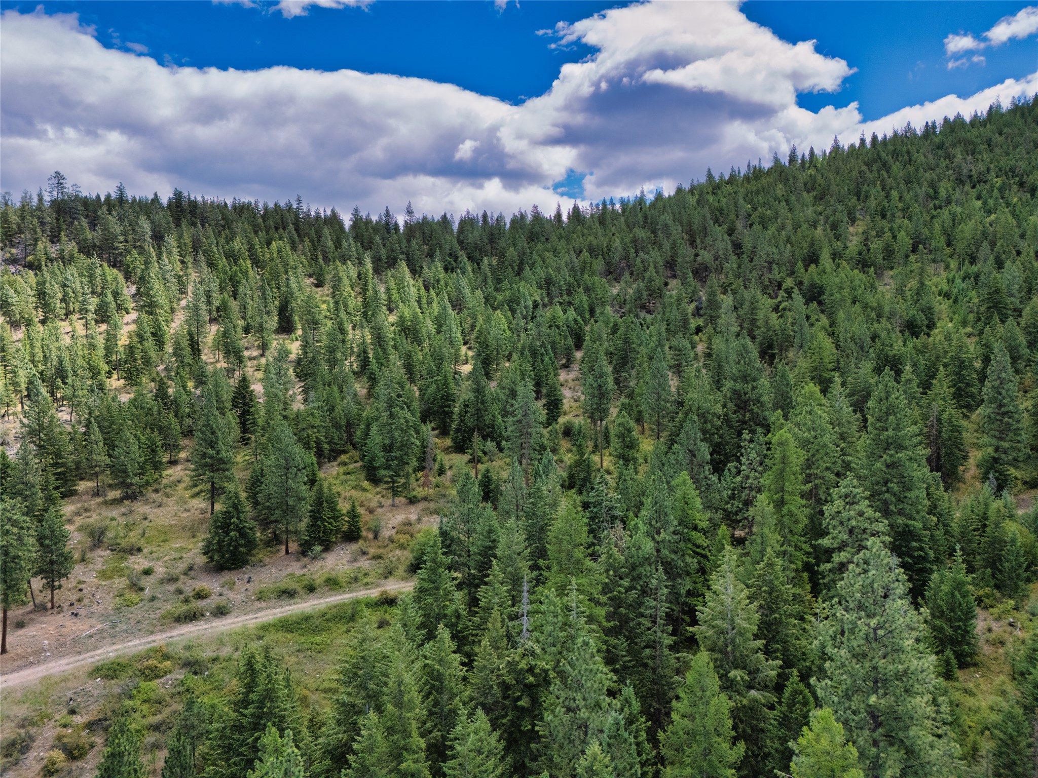Aerial view of a forested Montana lot with a dirt track winding through evergreen trees.