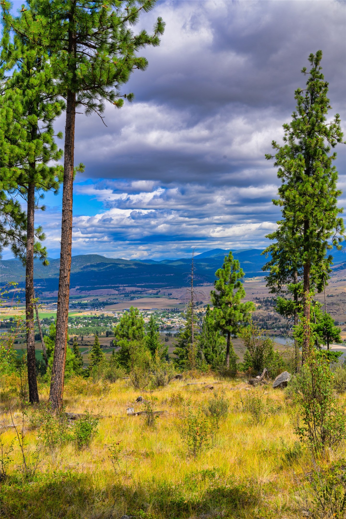 Hillside lot overlooking a Montana valley, with pine trees, a river, and distant mountains.