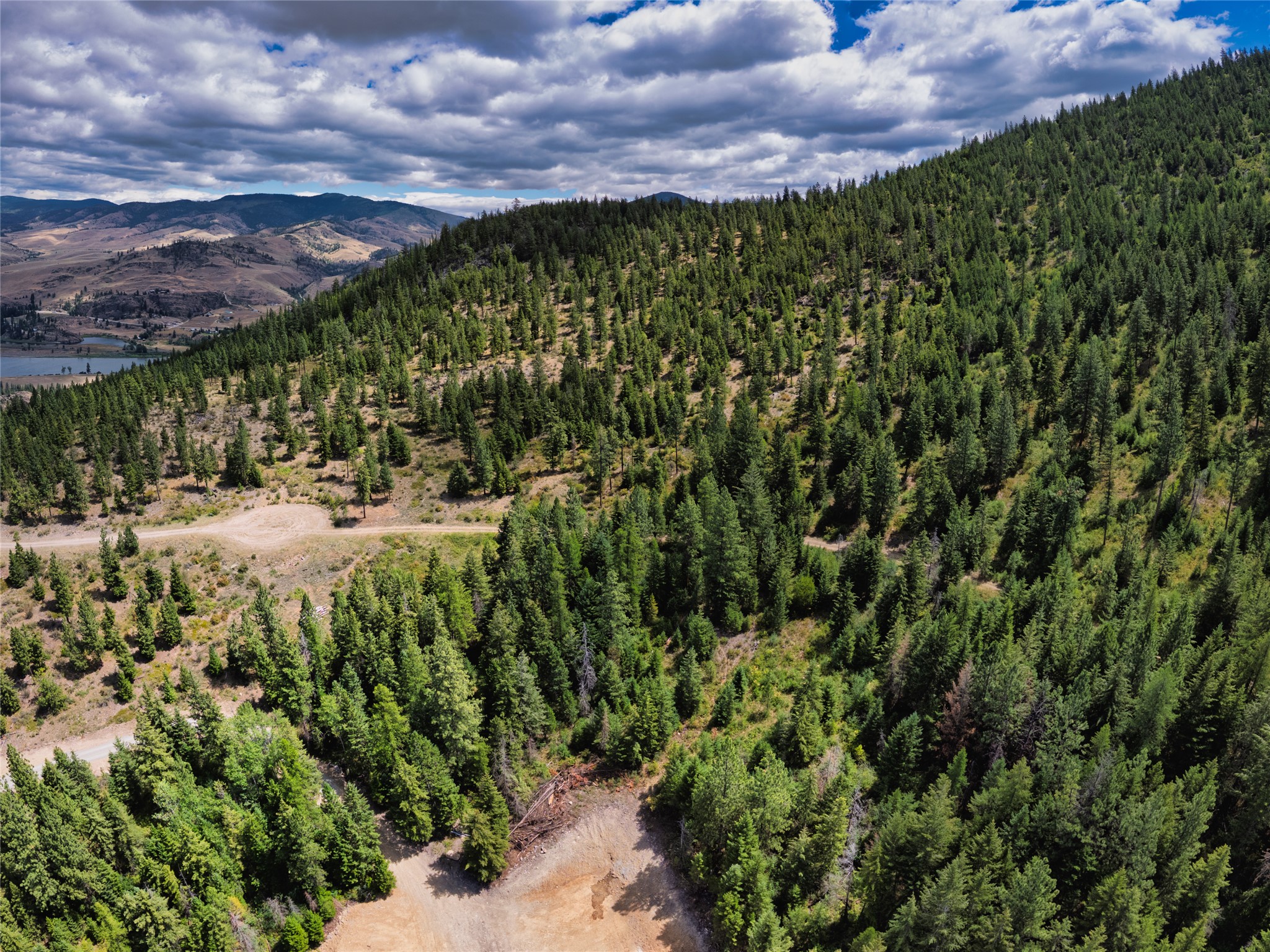 Aerial view of a forested hillside parcel with a dirt road and clearing, overlooking a river valley.