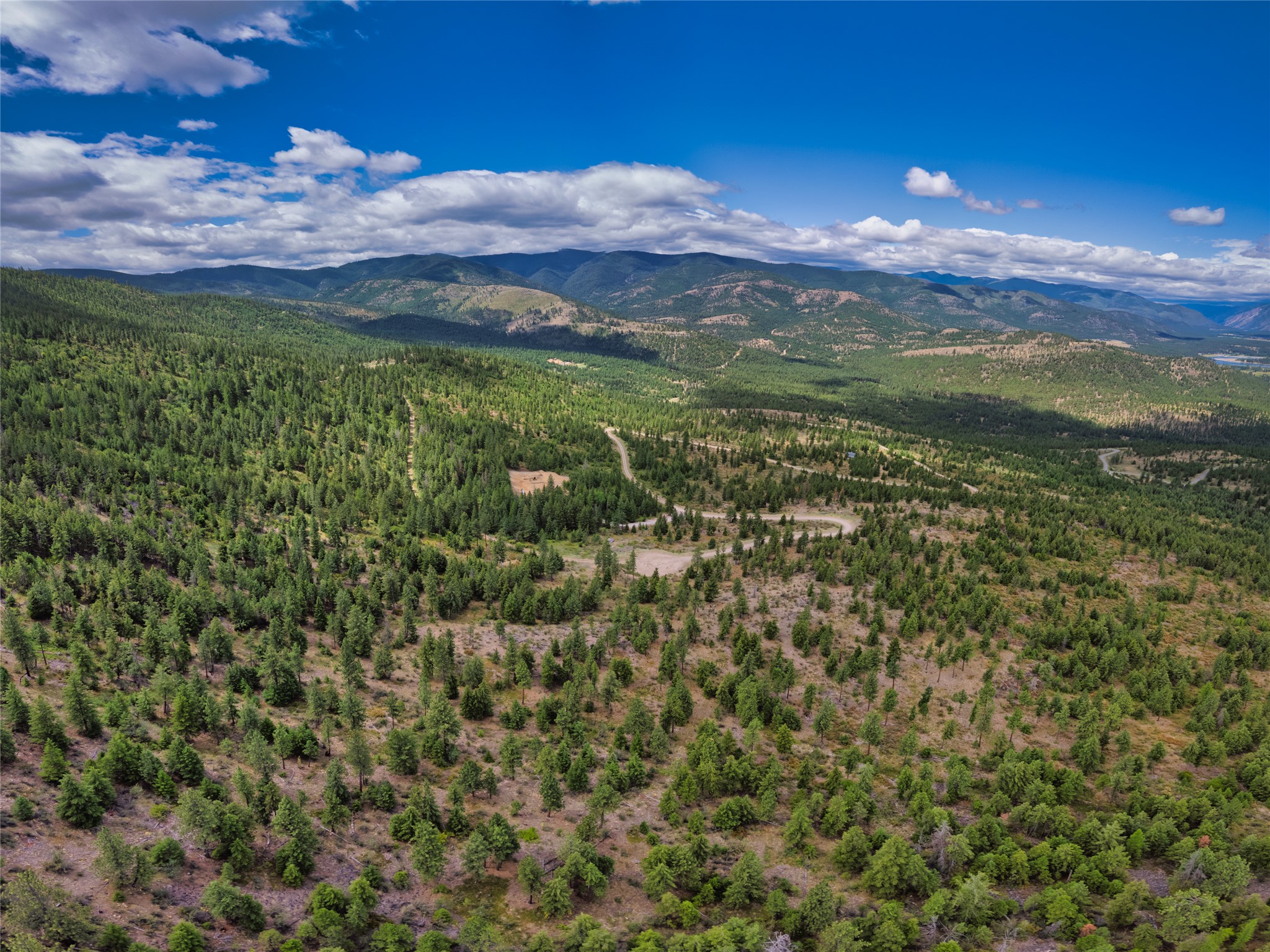 Aerial view of wooded vacant land with winding access roads and distant mountain ranges.