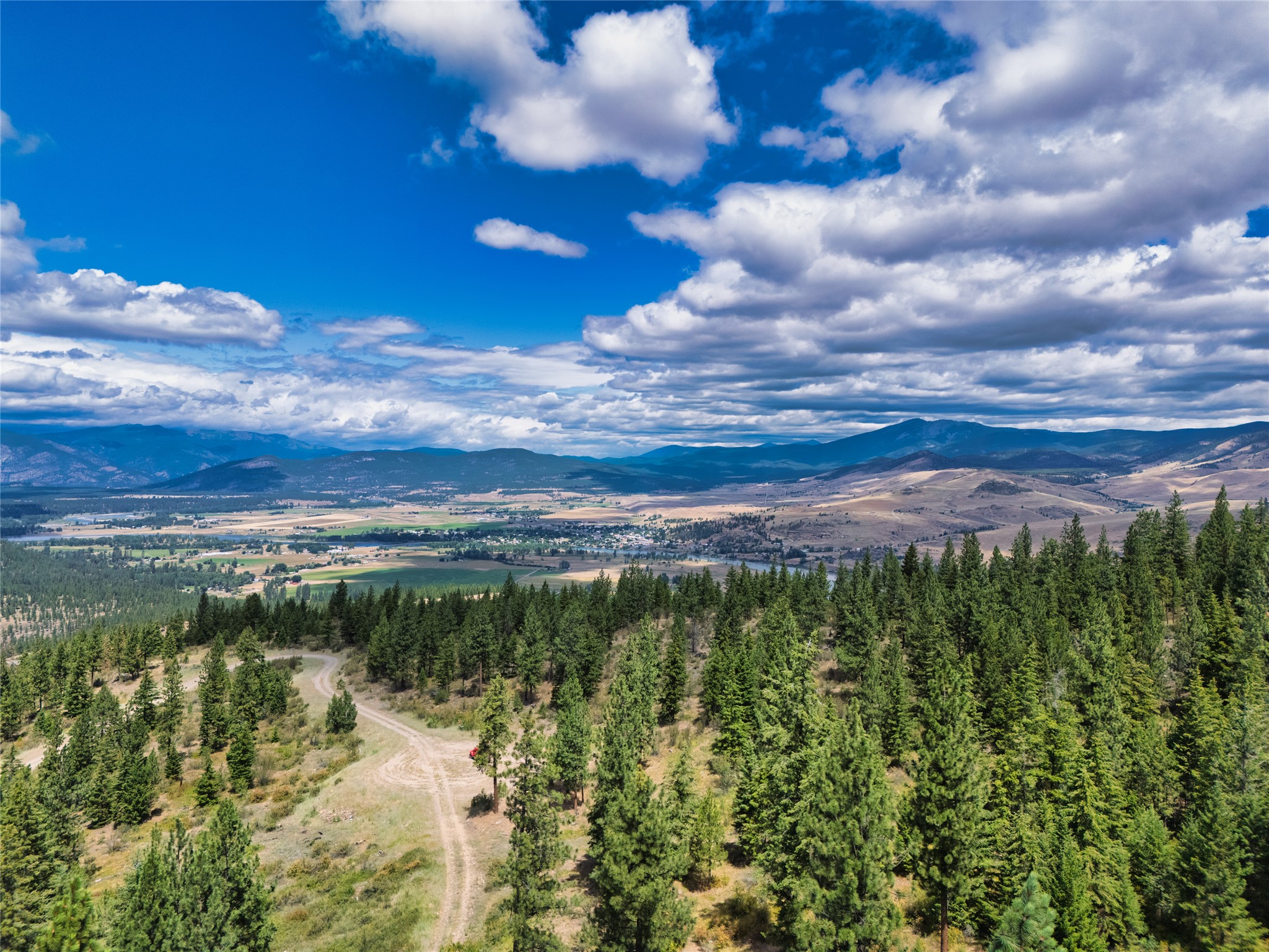 Wooded lot and dirt road overlooking a valley and distant mountains.