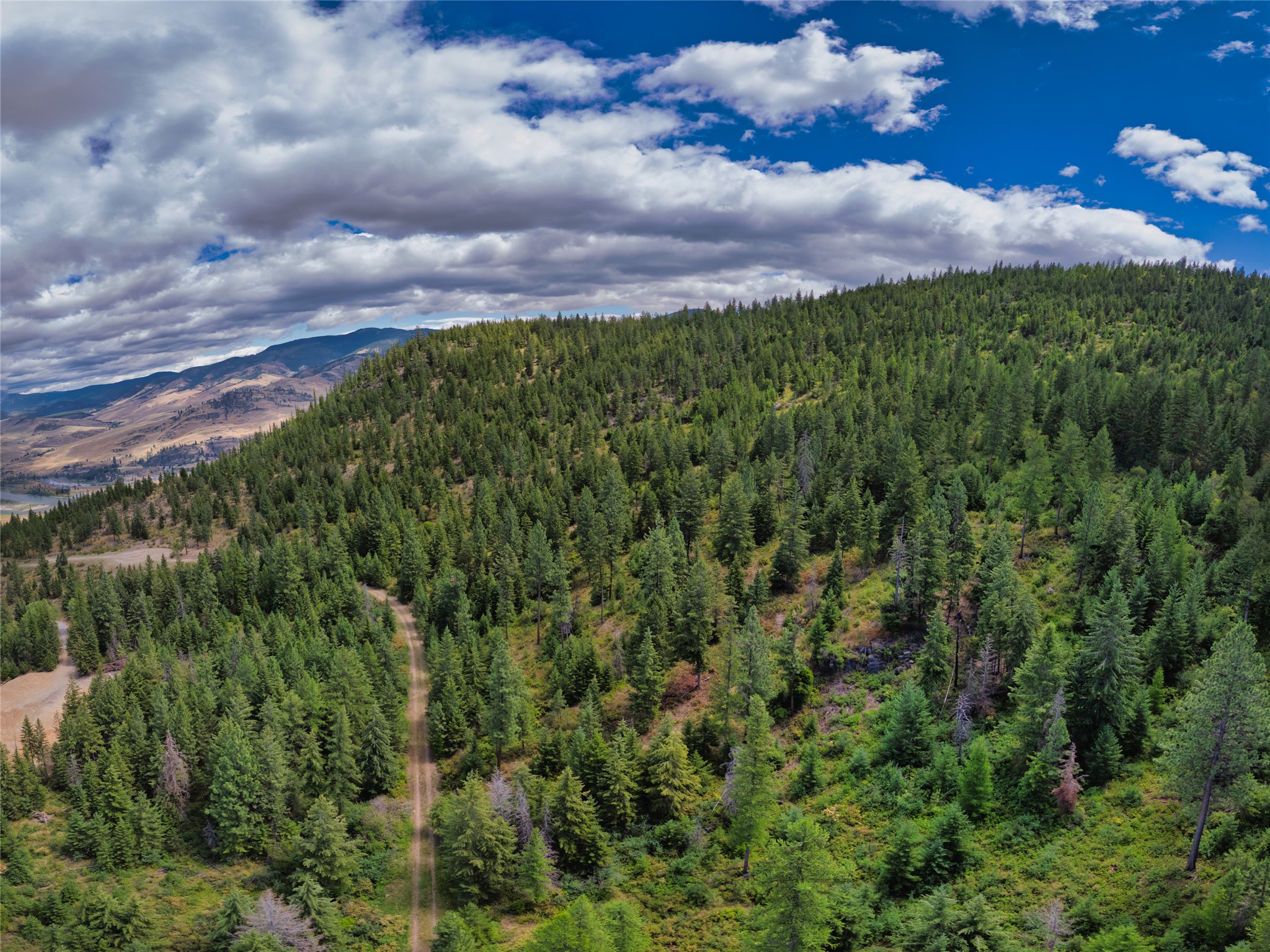 Aerial view of a forested lot with a winding dirt road and distant mountain ridges.