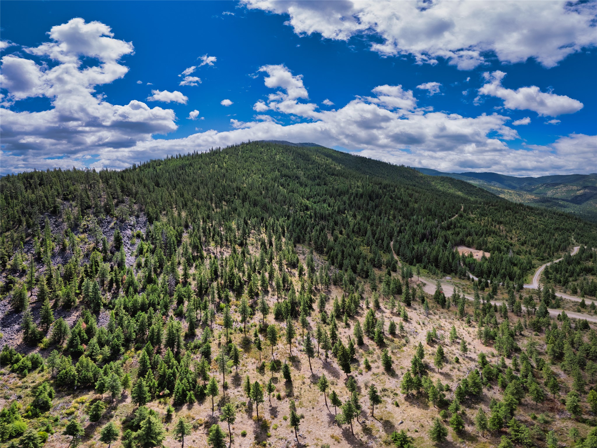 Aerial view of a wooded hillside parcel with a winding access road and forested mountain views.