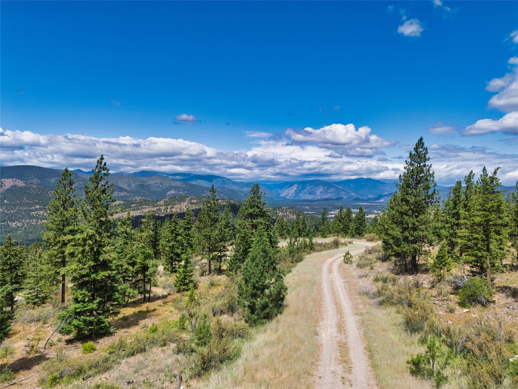 Vacant wooded land with a winding gravel road, pine trees, and distant mountain ranges.