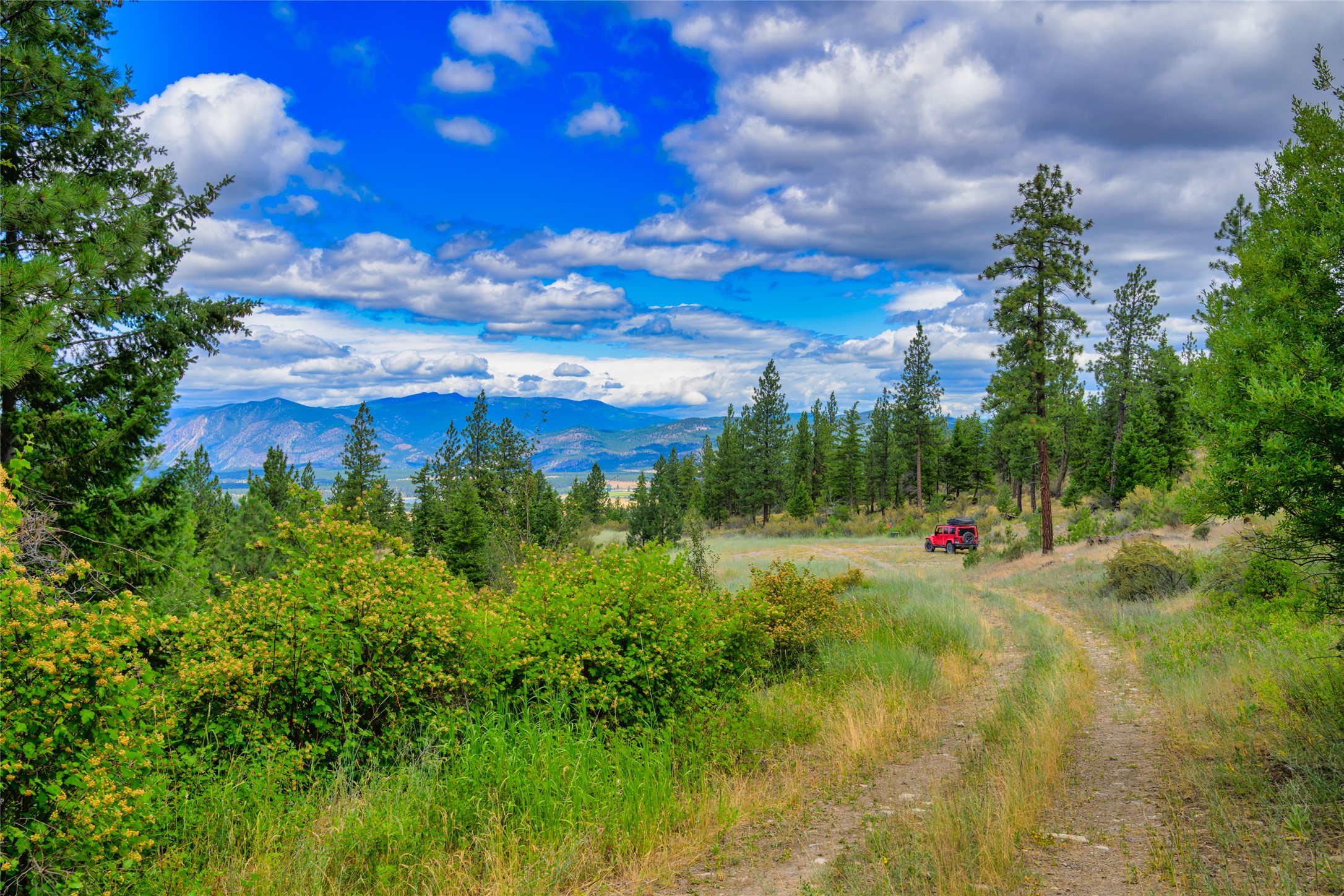 Wooded hillside lot with a dirt track, red off-road vehicle, and distant mountain views.