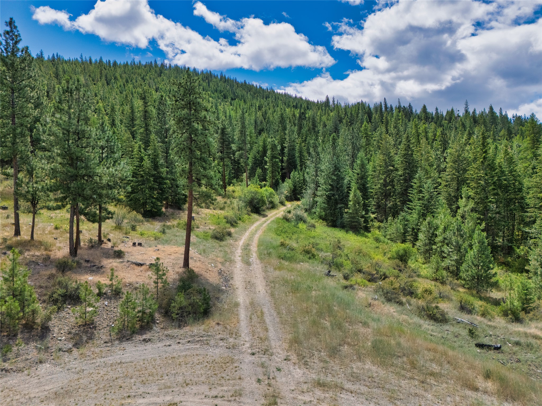 Rural land with a dirt track winding into a forested hillside.