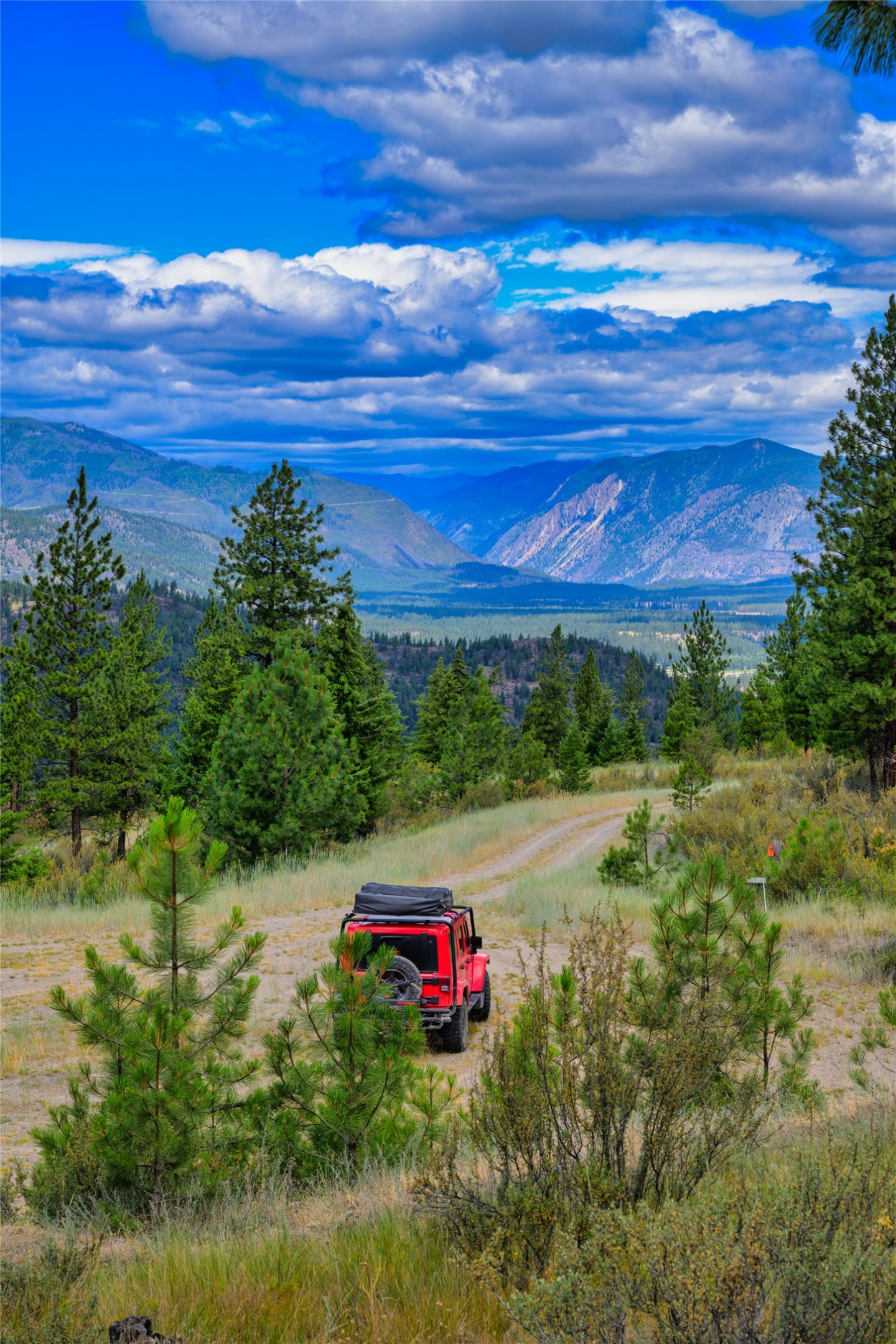 Mountain land with a dirt track, pine trees, and a red off-road vehicle overlooking a valley.