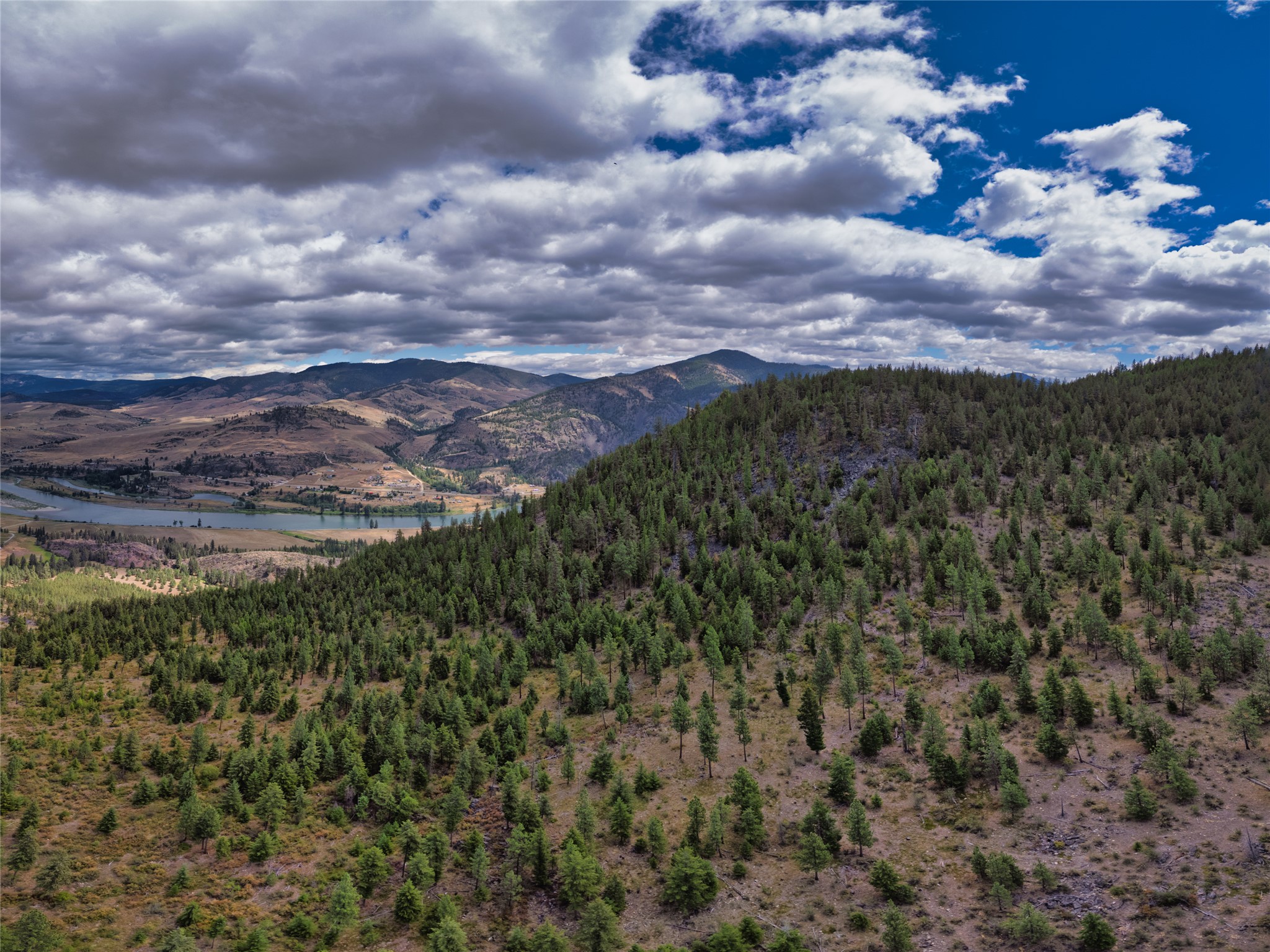 Wooded hillside overlooking a river valley and mountain ridges beneath dramatic clouds.