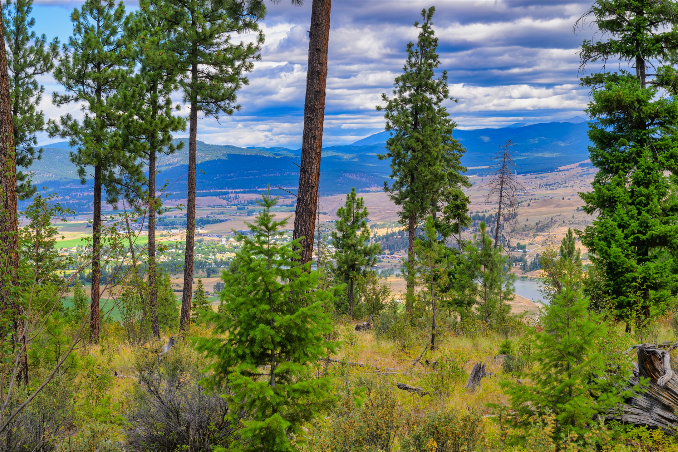 Lots 20 & 23 Bighorn Bluff Road