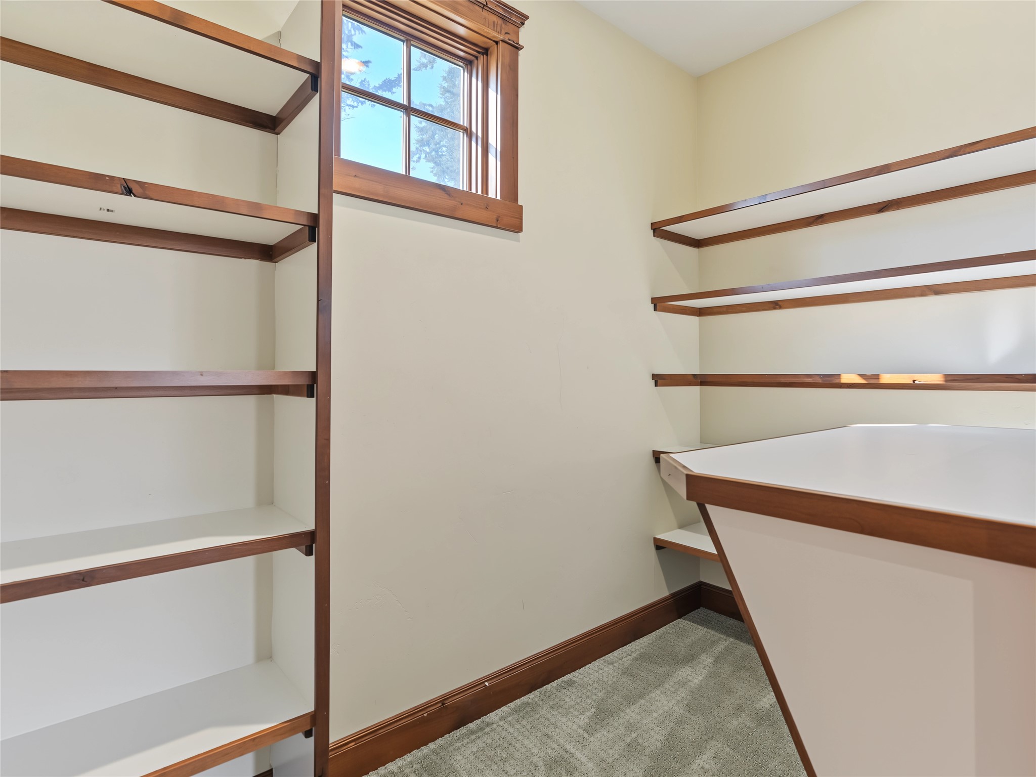 Walk-in closet with empty wood-trimmed shelves, hanging rails, and a high window.