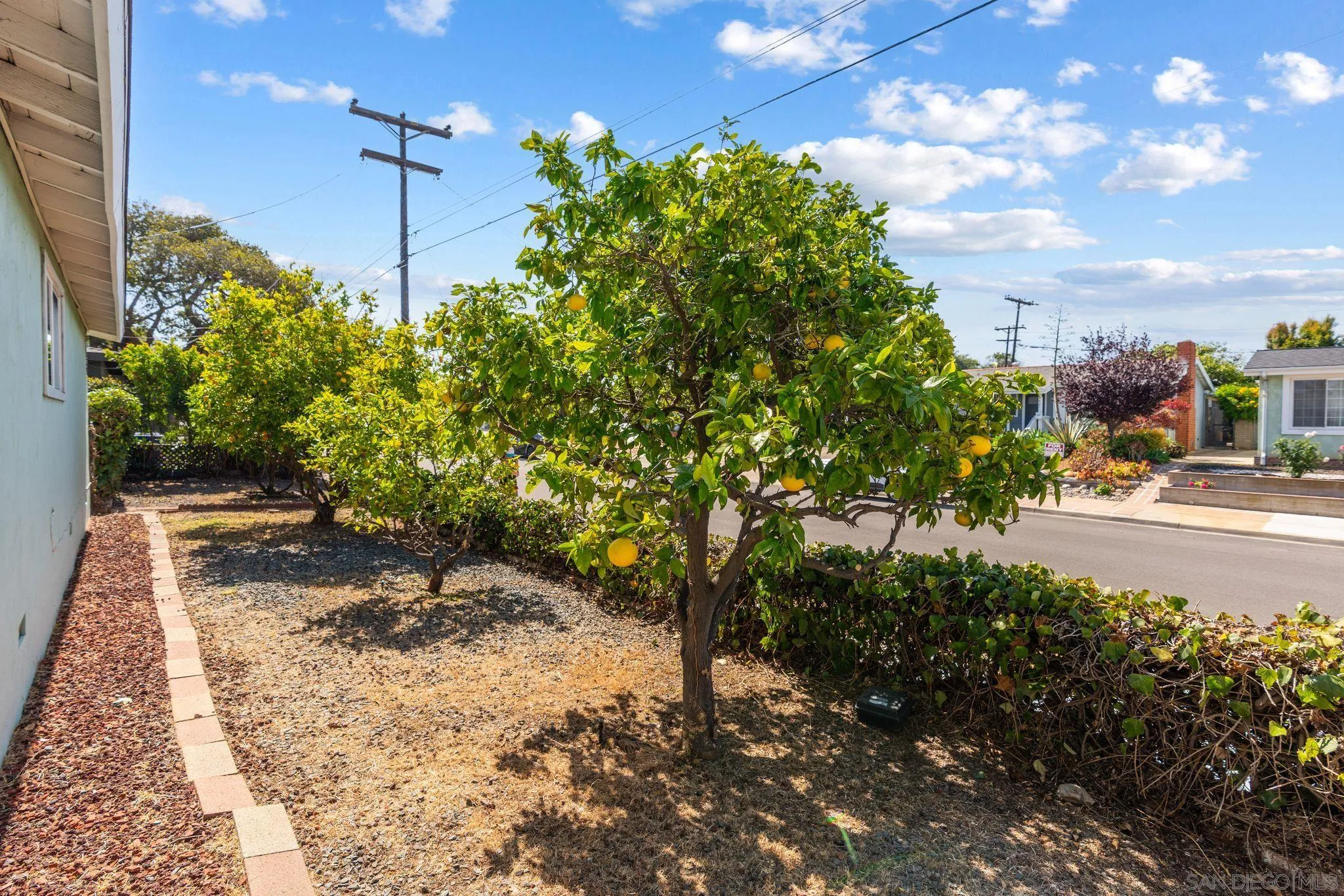3801 Tiara Street