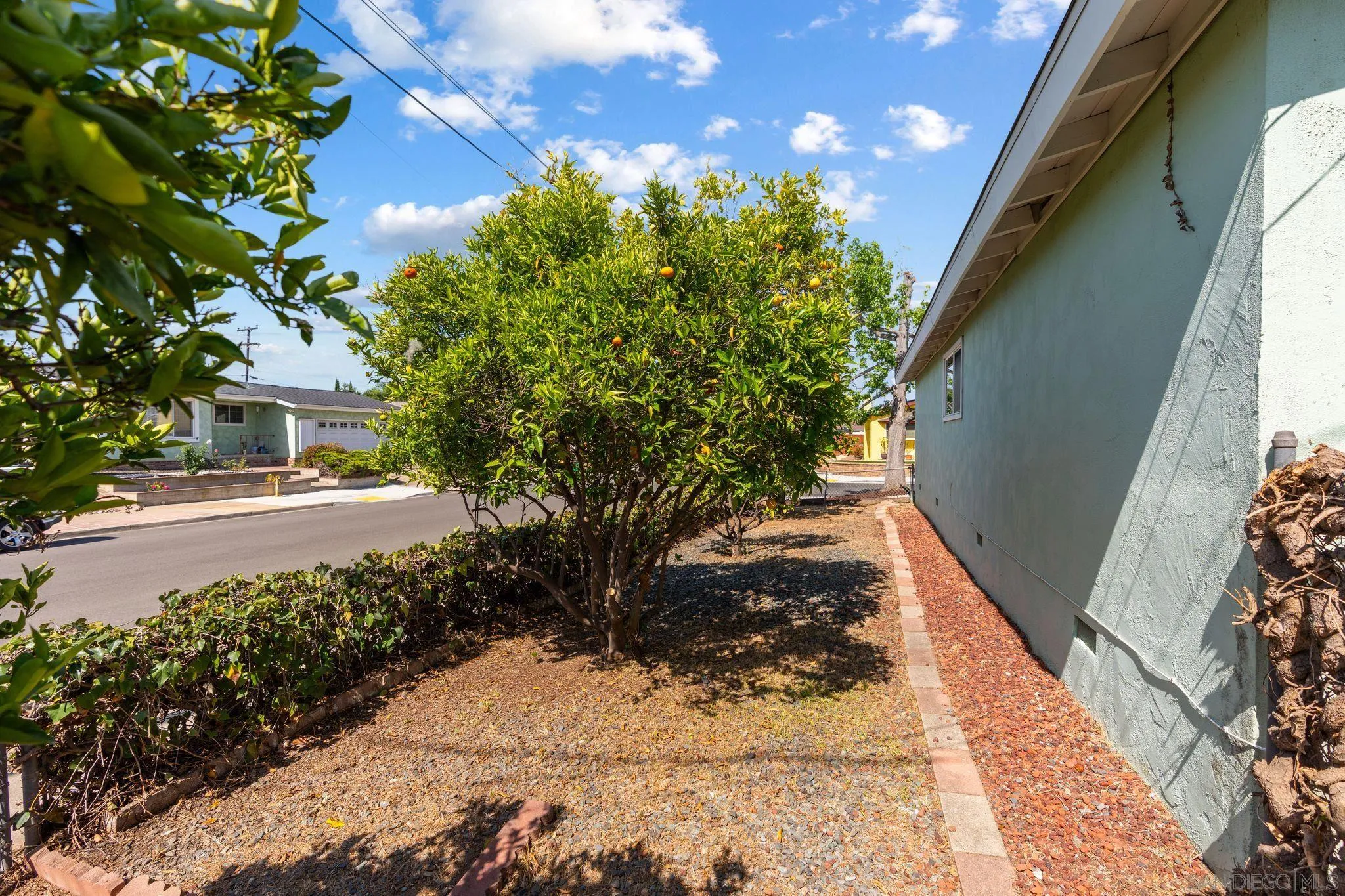 3801 Tiara Street