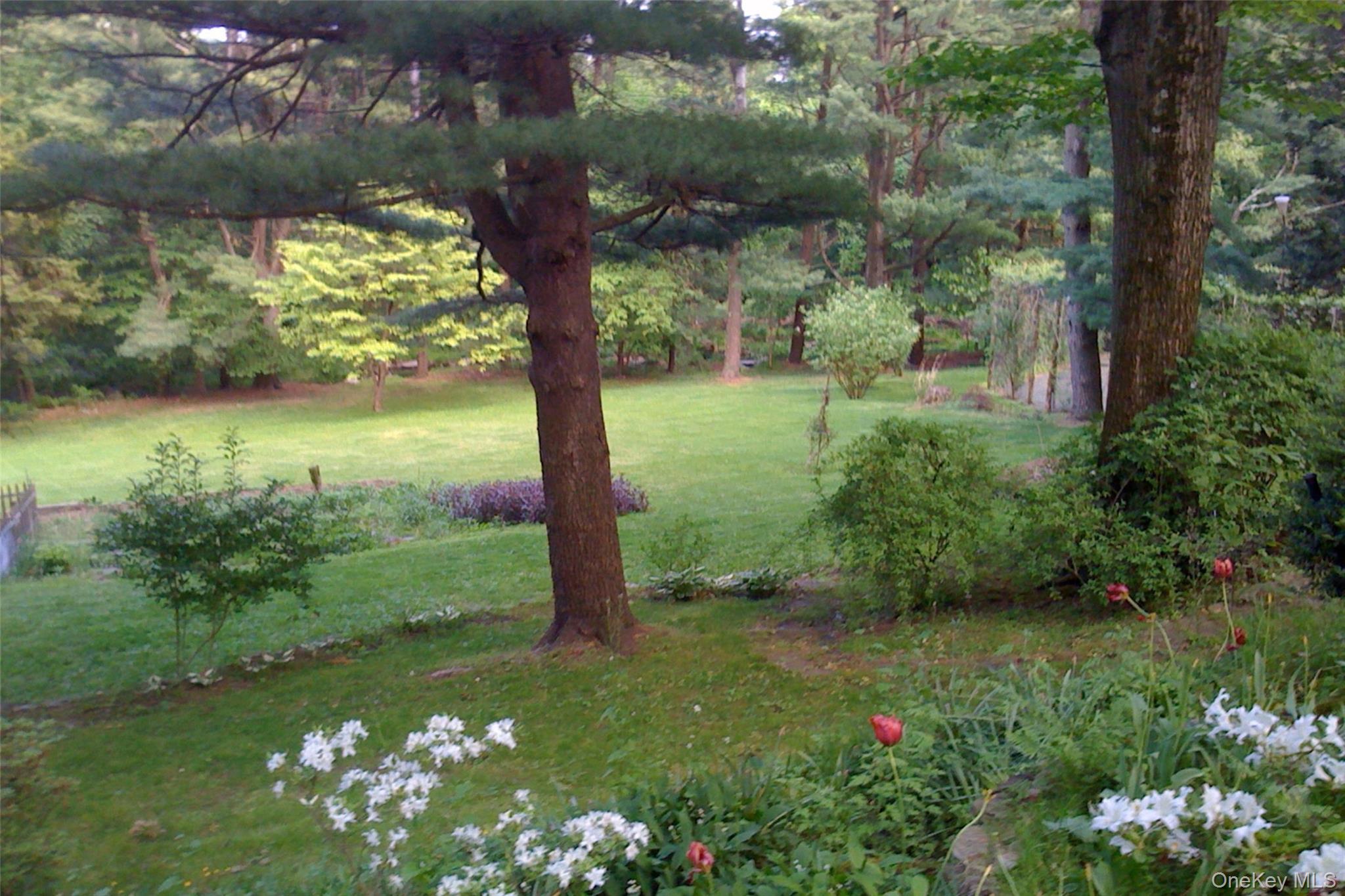 35 Saxon Woods