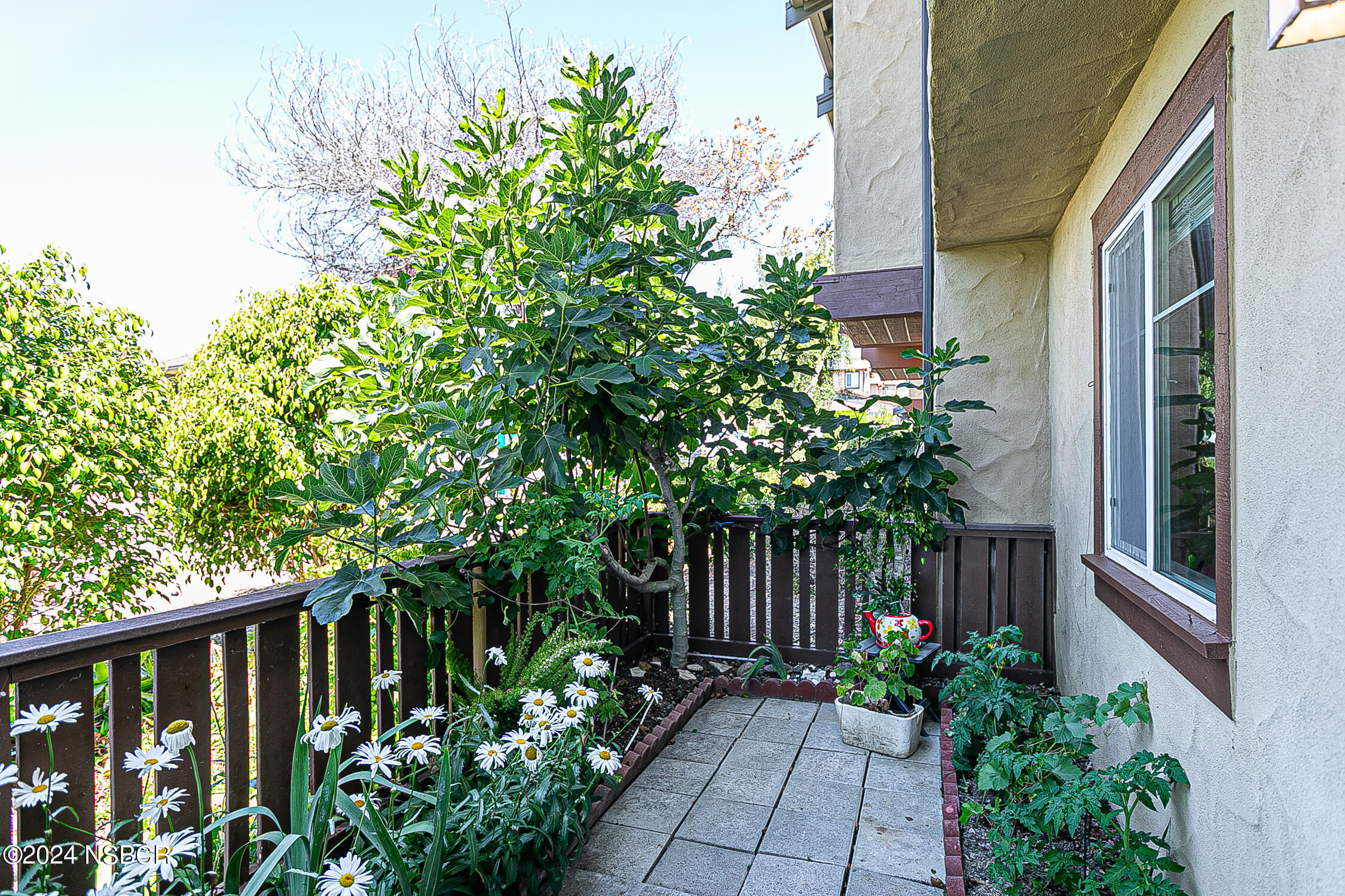 3843 Cassini Circle 4