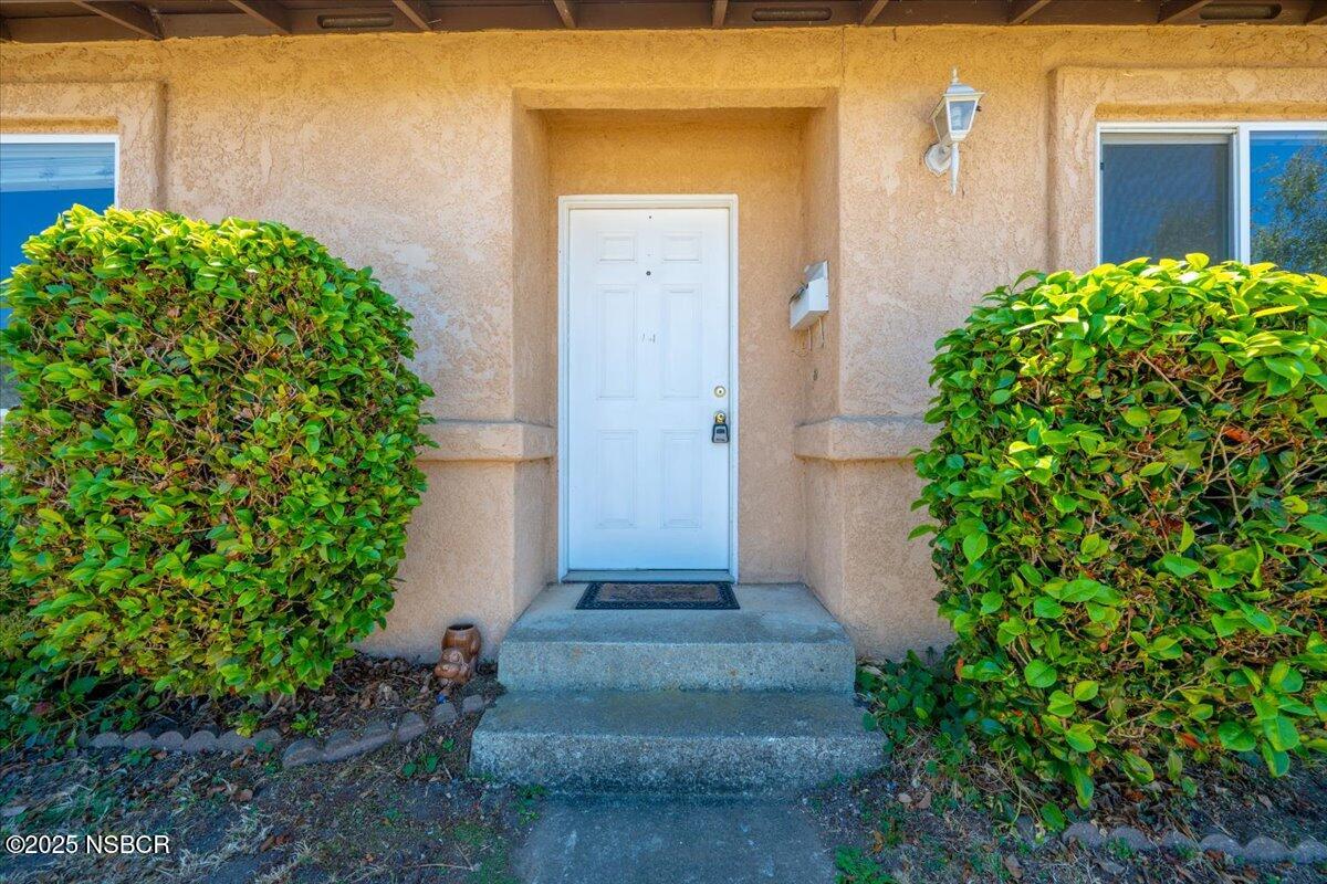 1400 Palmetto Avenue