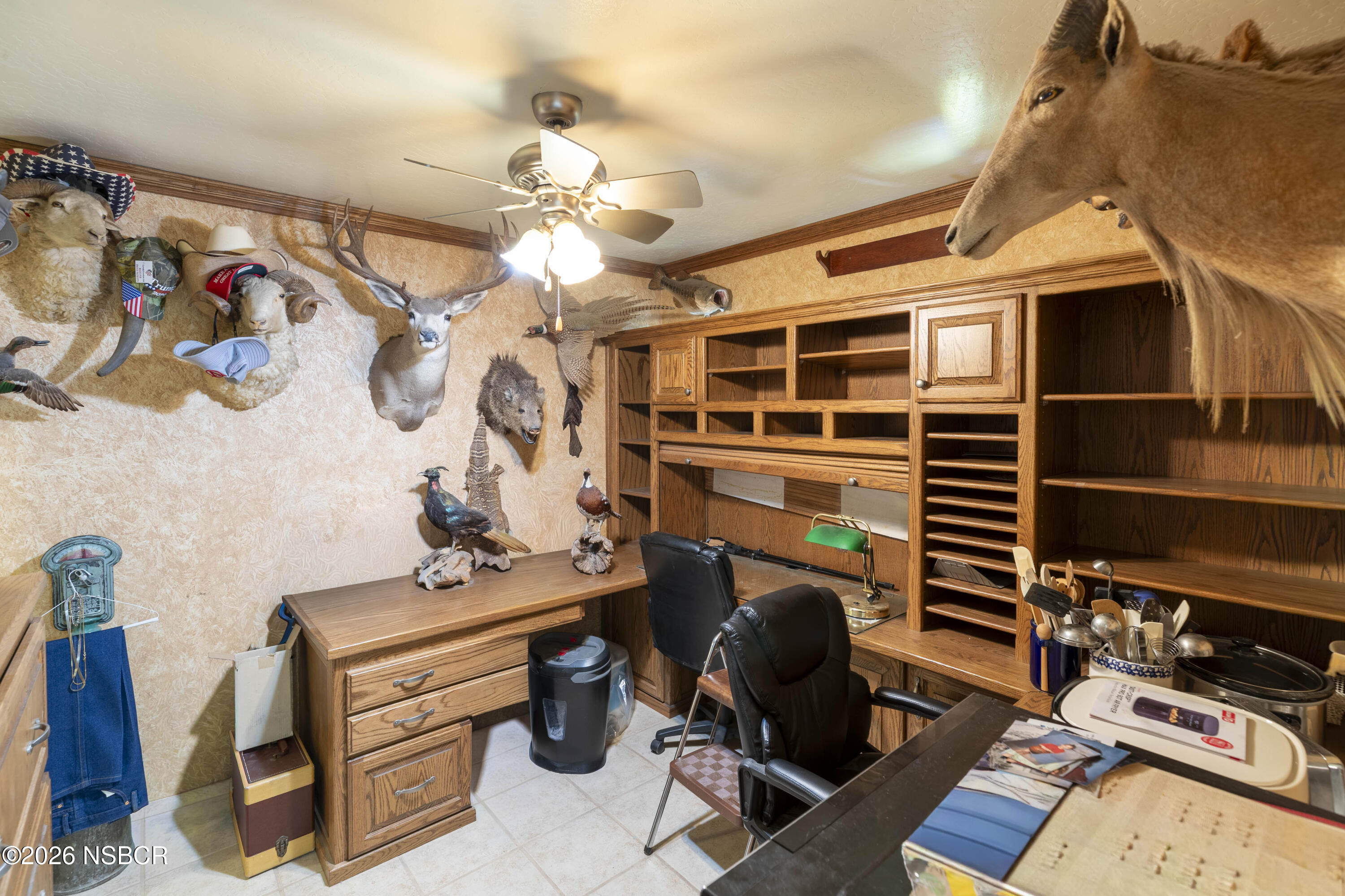 904 W College