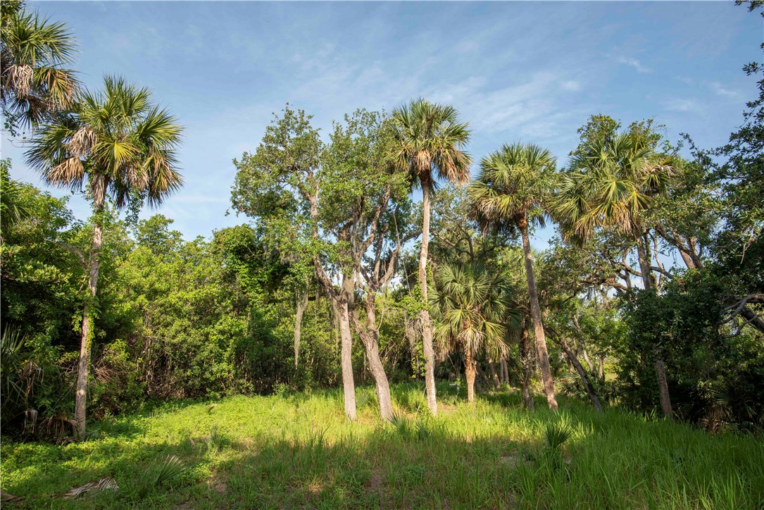 2135 S Highway A1a