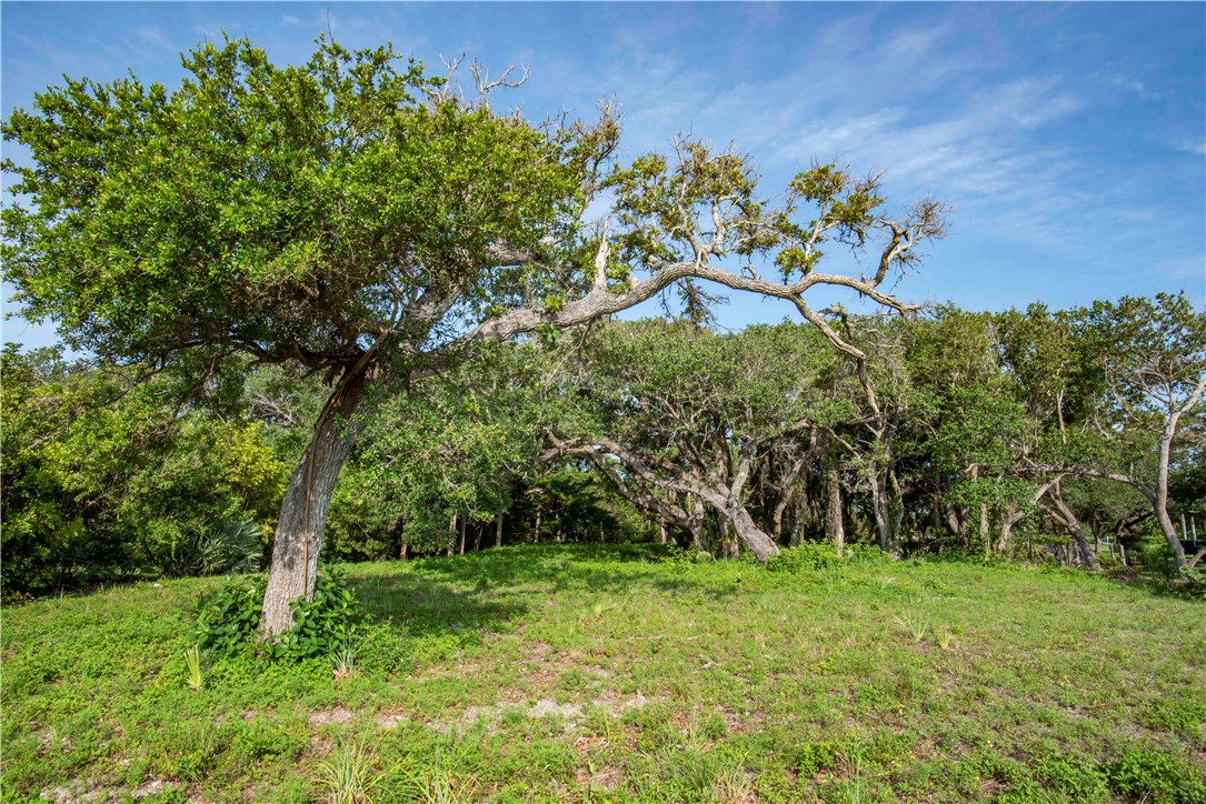 2135 S Highway A1a