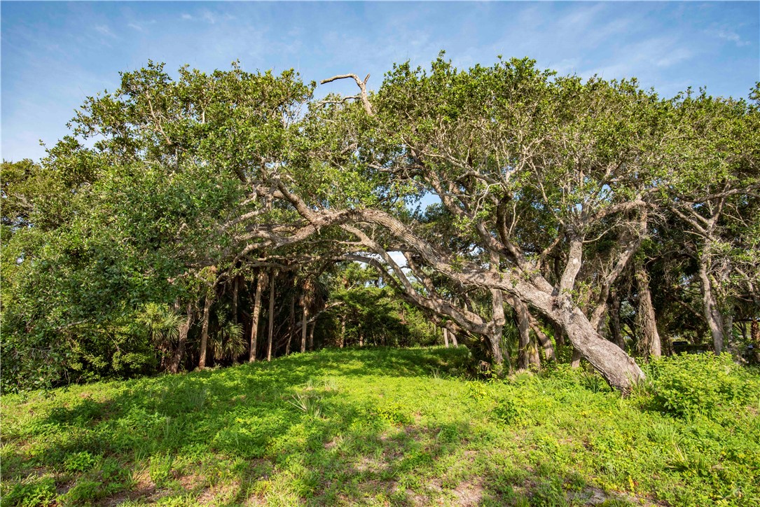 2135 S Highway A1a
