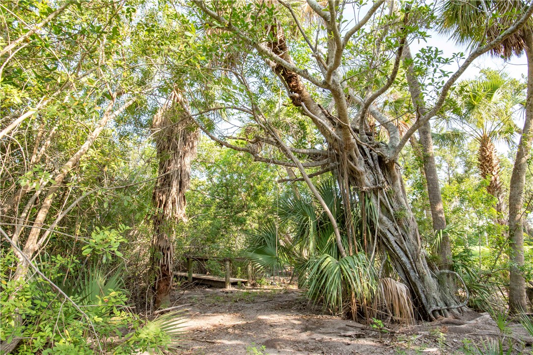 2135 S Highway A1a