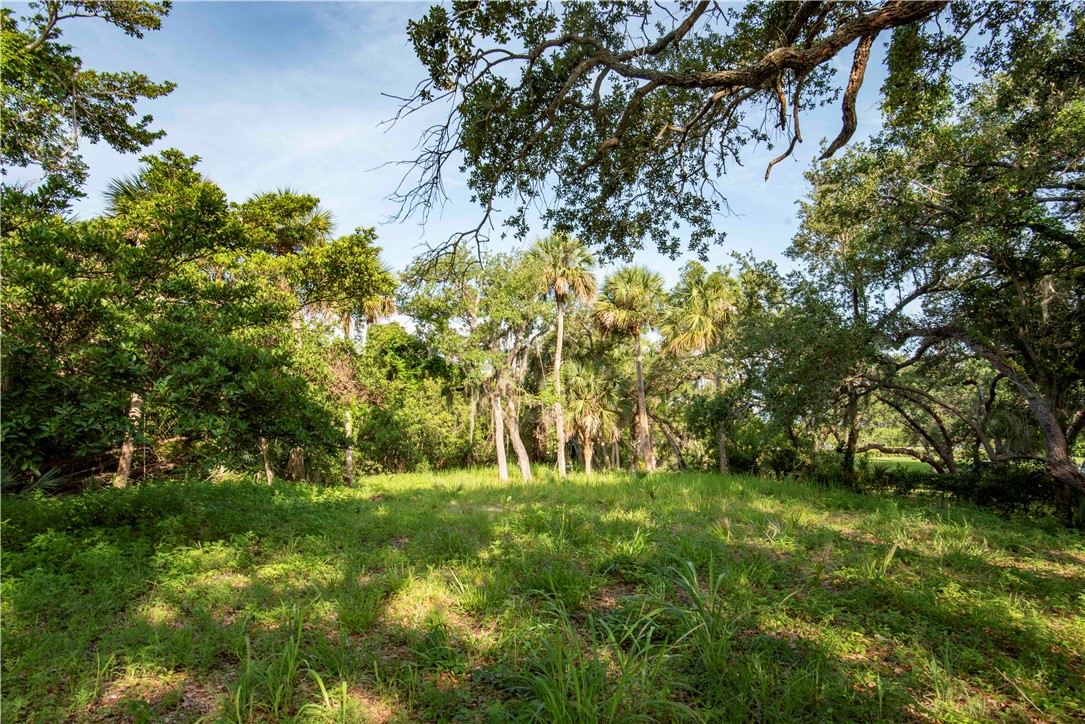2135 S Highway A1a