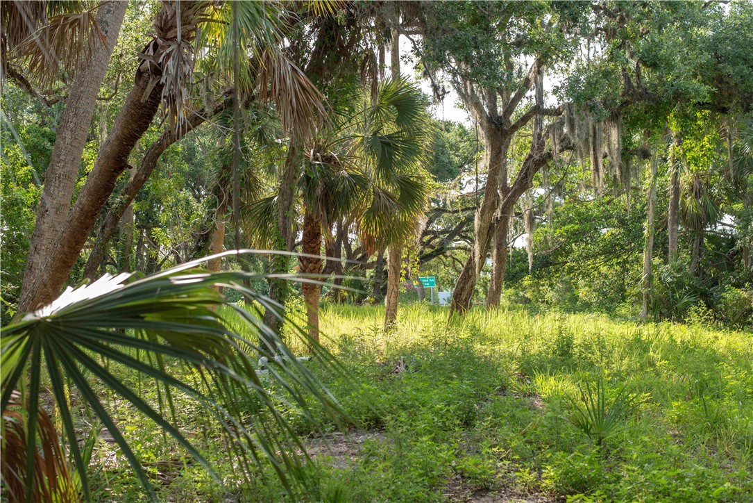 2135 S Highway A1a