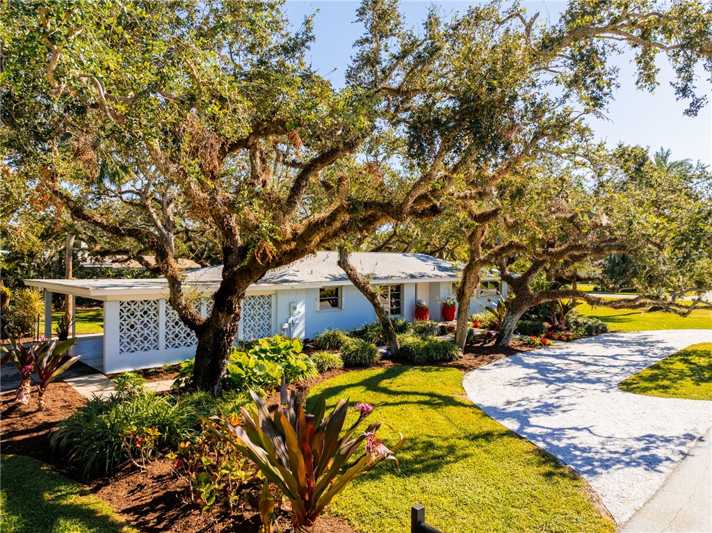 4102 Sabal Palm Drive
