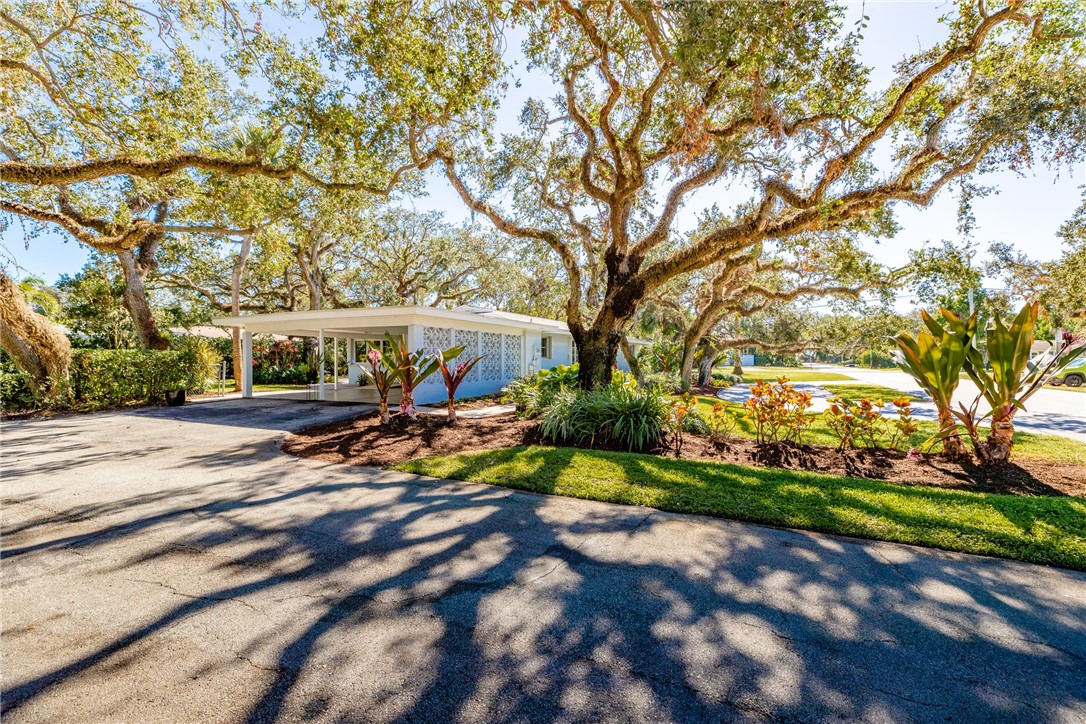4102 Sabal Palm Drive