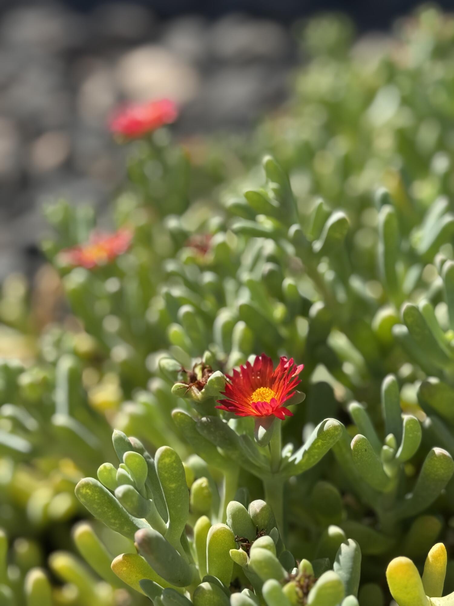 5670 S Carnelian Parkway